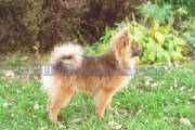 Jo Jo at 6 months