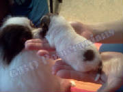 Maddie Jane and Momma Noel